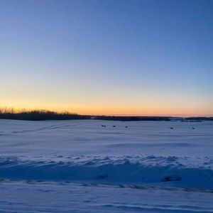 Meet your Posher, Rowen